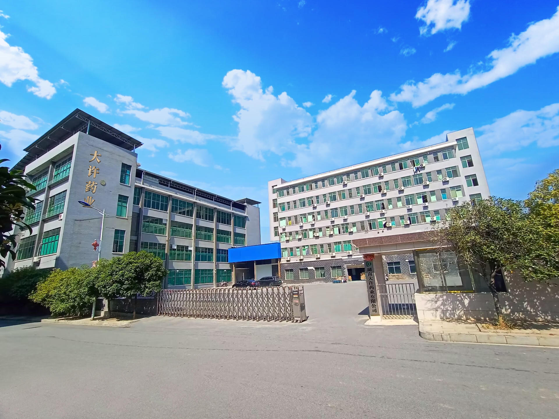 湖南大許藥業有限公司